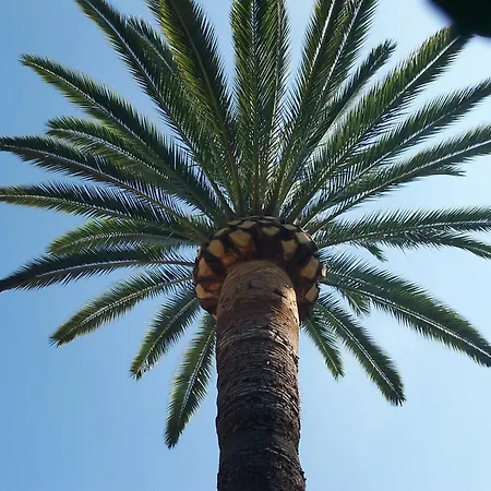 Castel Enchante ניס