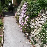 Alojamento de Acomodação e Pequeno-almoço Castel Enchante