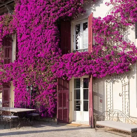 Castel Enchanté 4* Niza