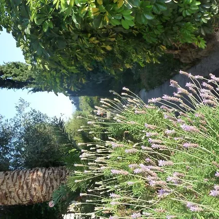 Bed and breakfast Castel Enchanté Niza